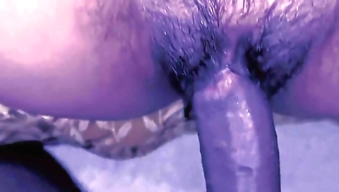 Free Hairy Porn Videos - rupbangla.com